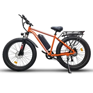 Electric Bicycle 1000W